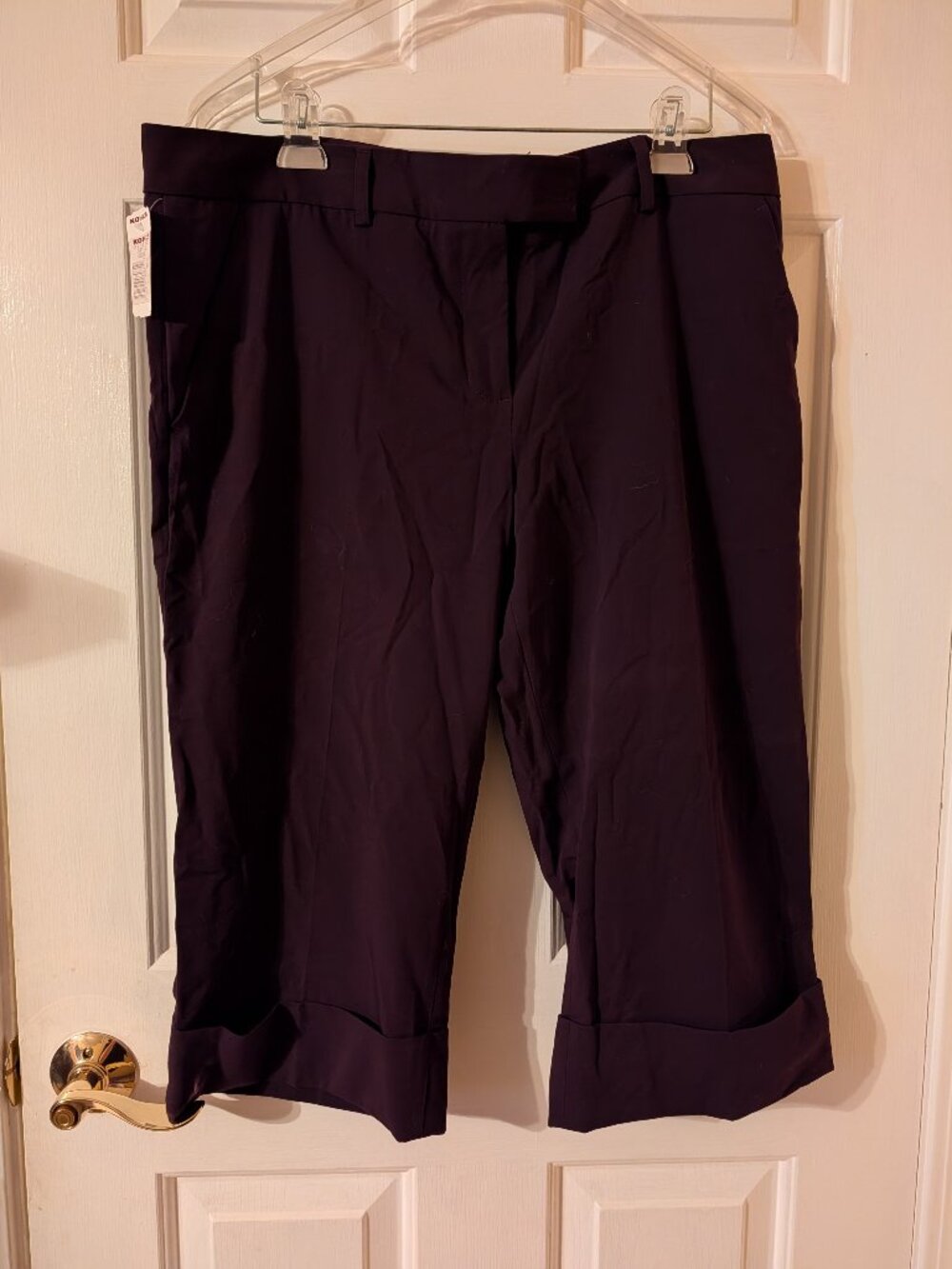 Daisy Fuentes Capris ~ 14